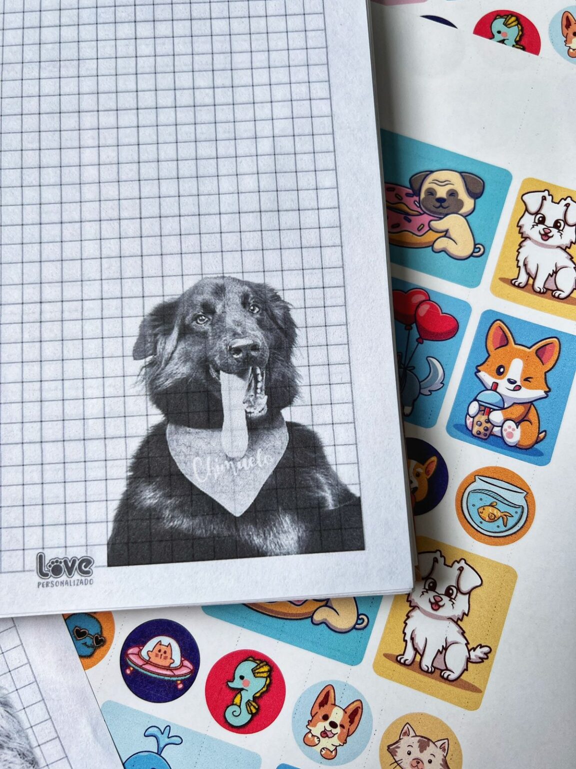 Cuaderno 5 Materias Separadores con Foto y Hojas con foto