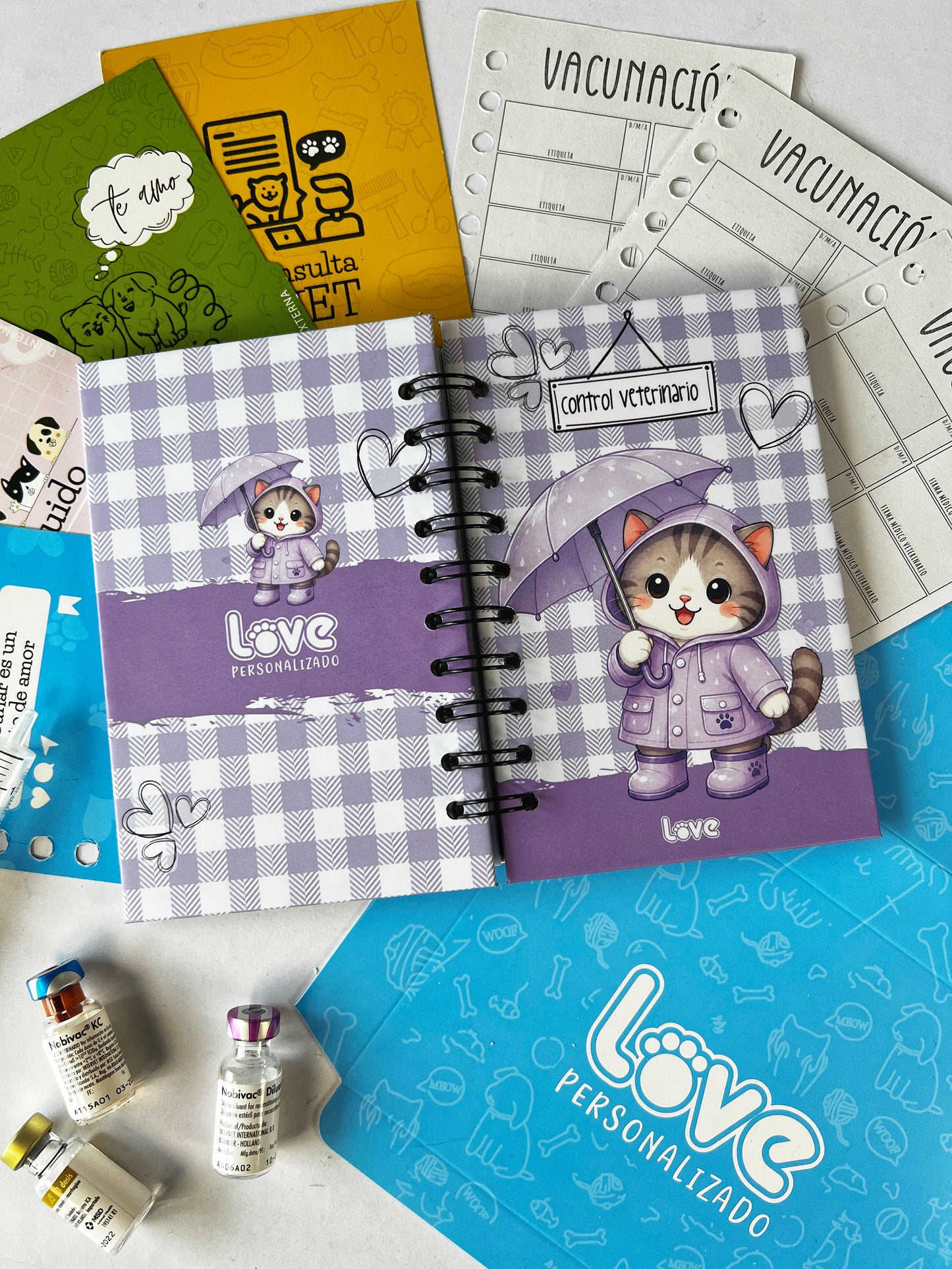 Control Veterinario | Lluvia Gato