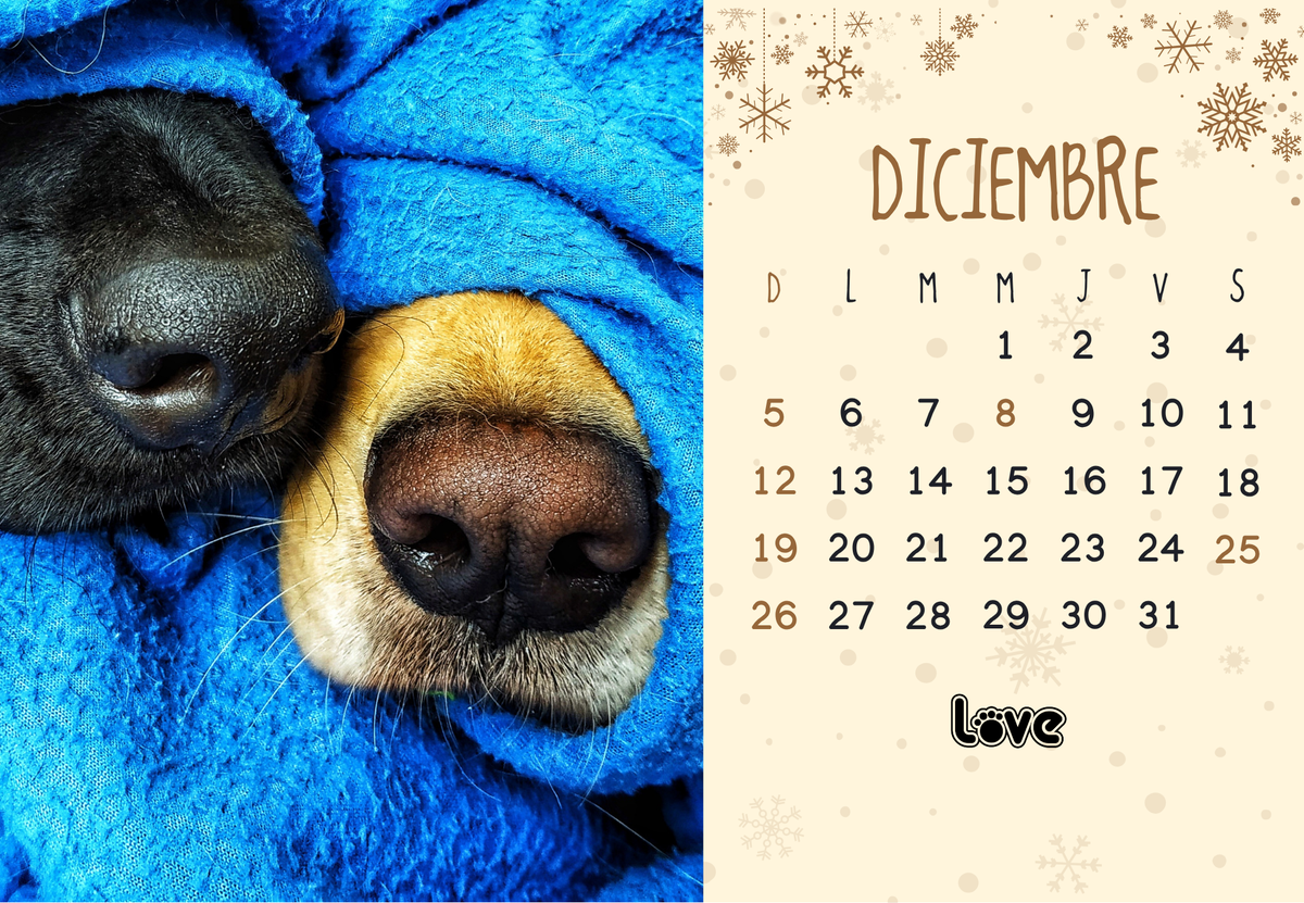 CALENDARIO 2027