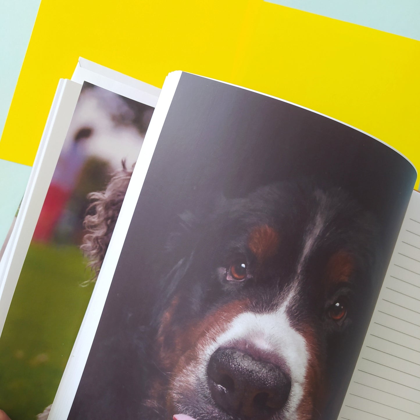 Cuaderno 5 Materias Separadores con Foto y Hojas con foto