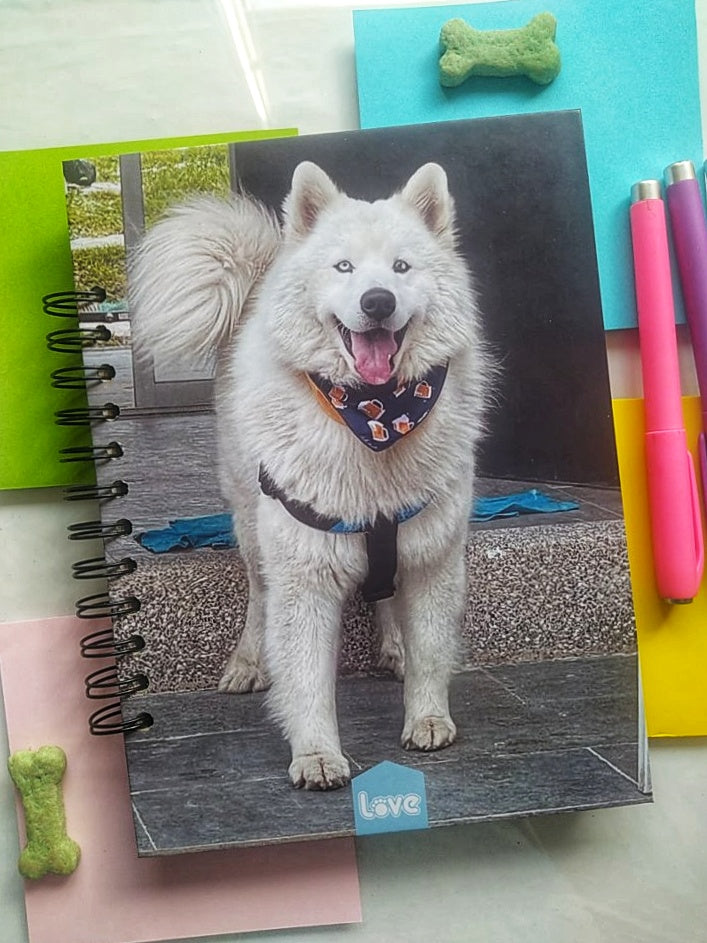 Cuaderno 80 Hojas Cuadriculadas