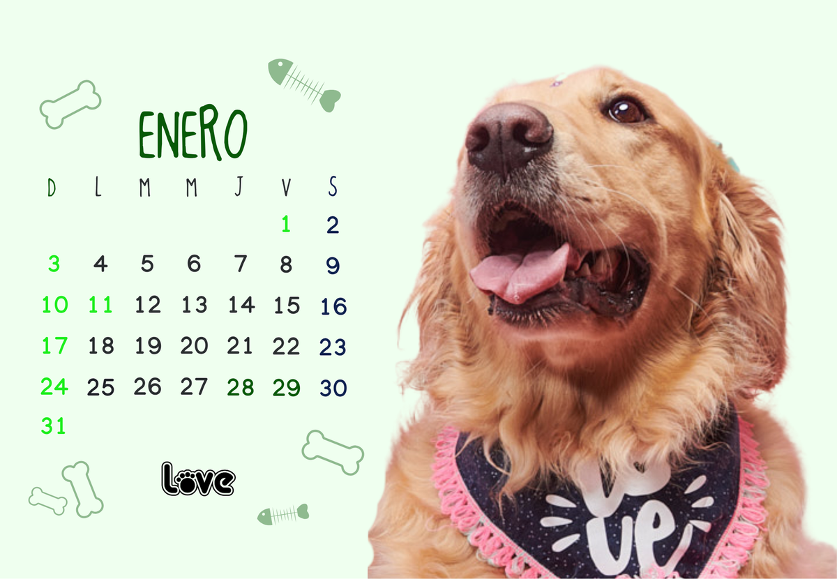 CALENDARIO 2027