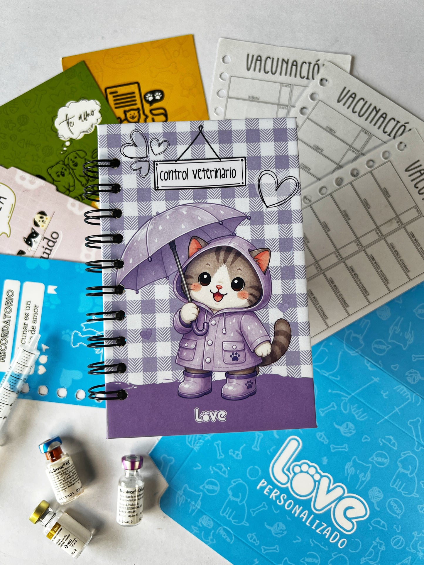 Control Veterinario | Lluvia Gato